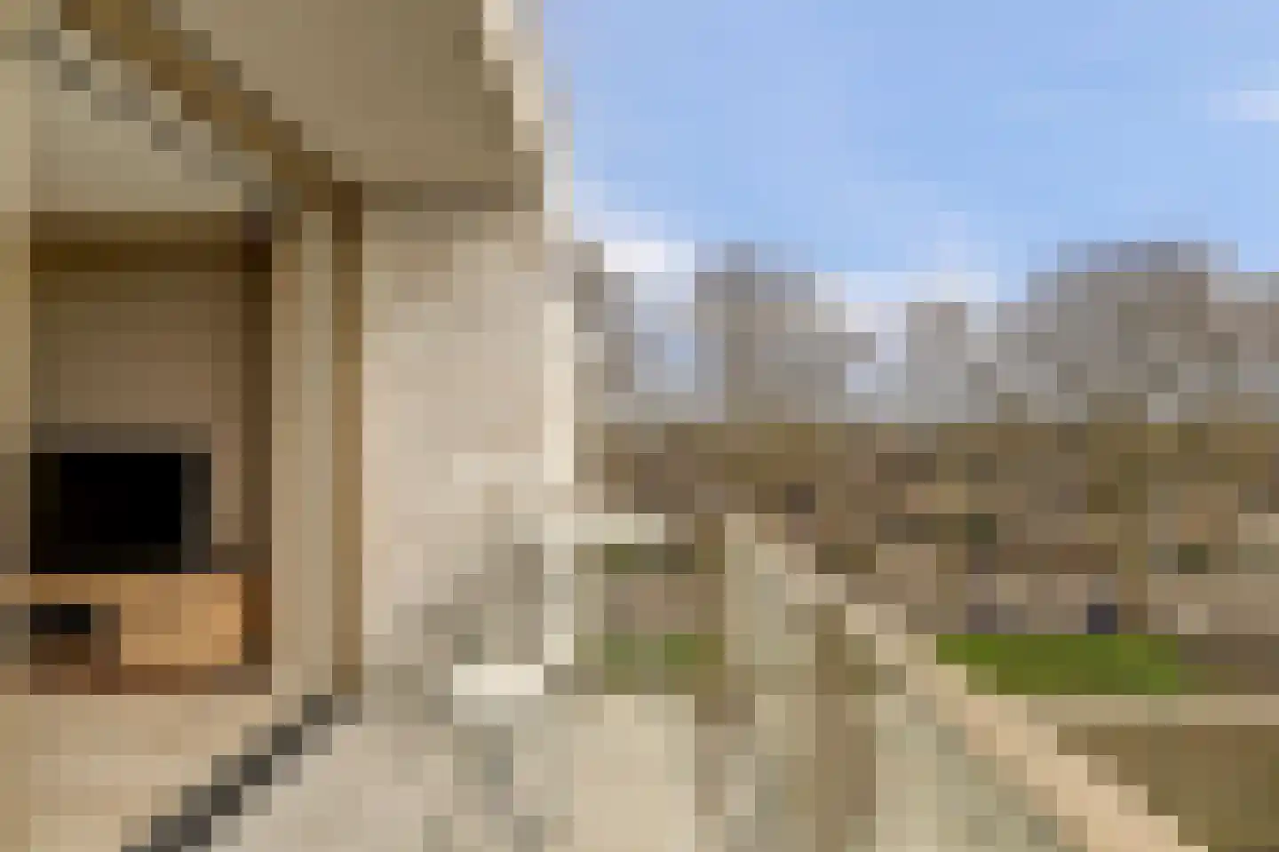 Vijfhoevenlaan 23 d 03 Raamsdonksveer thumbnail 11