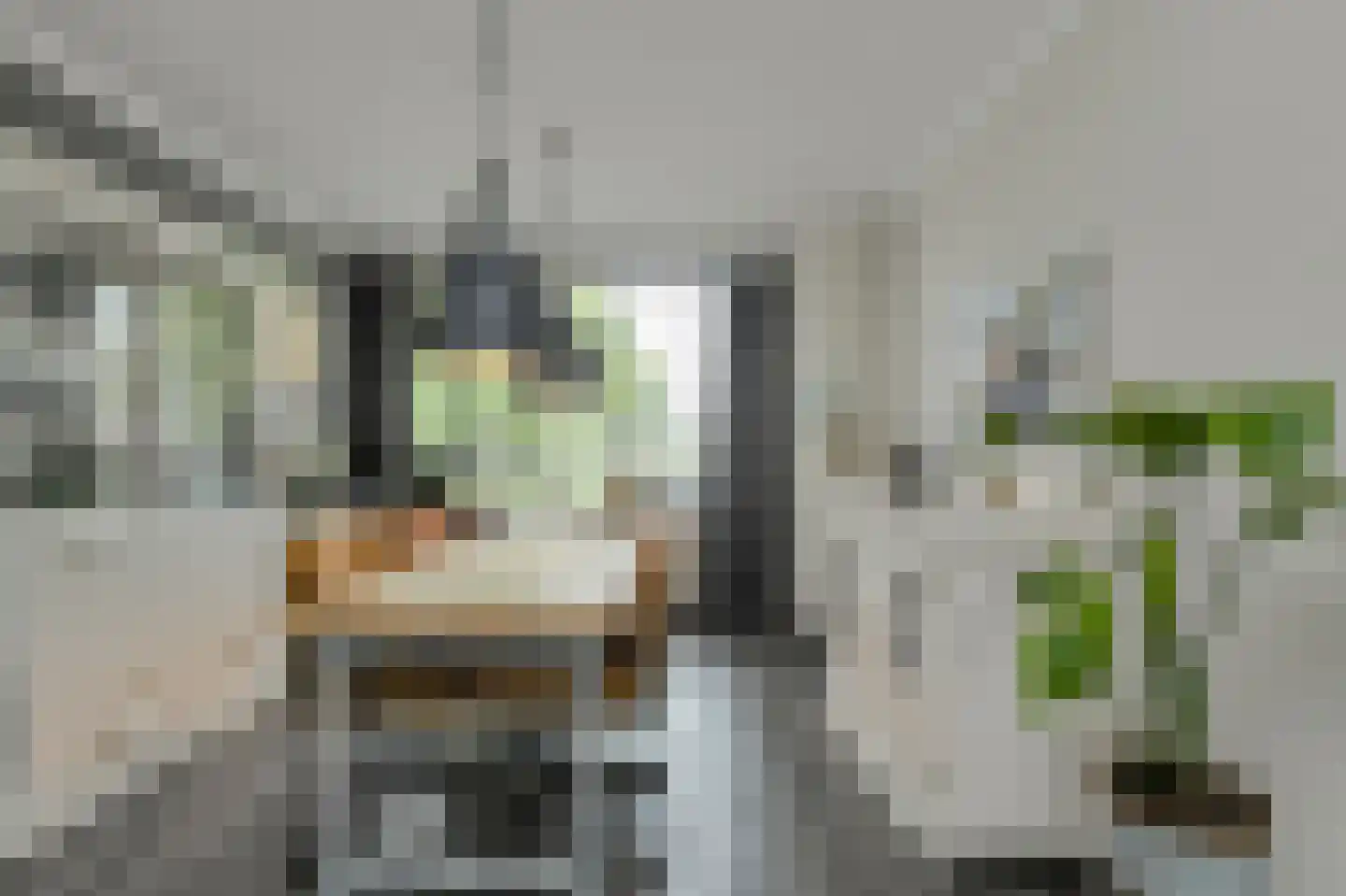Vijfhoevenlaan 7 Raamsdonksveer thumbnail 18