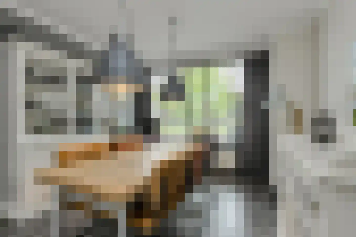 Vijfhoevenlaan 7 Raamsdonksveer thumbnail 19