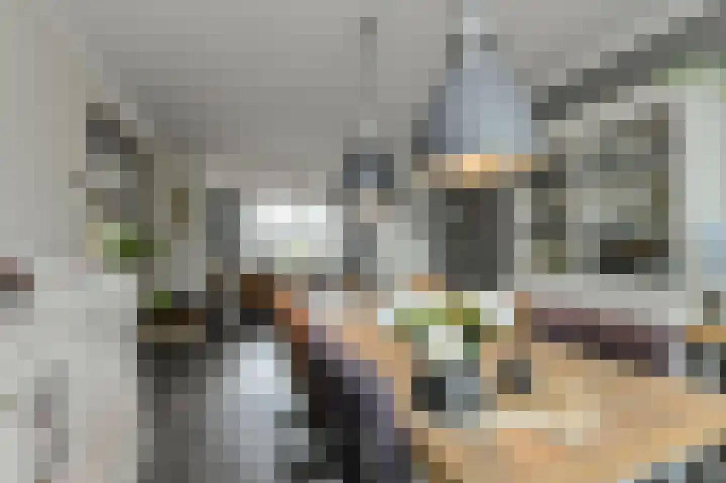 Vijfhoevenlaan 7 Raamsdonksveer thumbnail 20