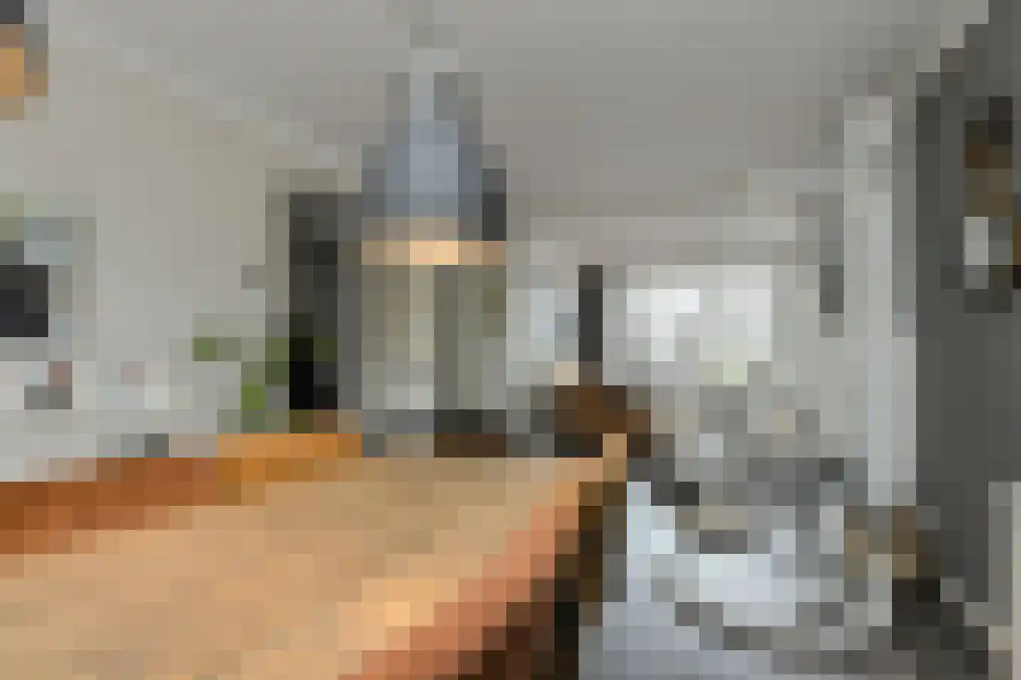 Vijfhoevenlaan 7 Raamsdonksveer thumbnail 21