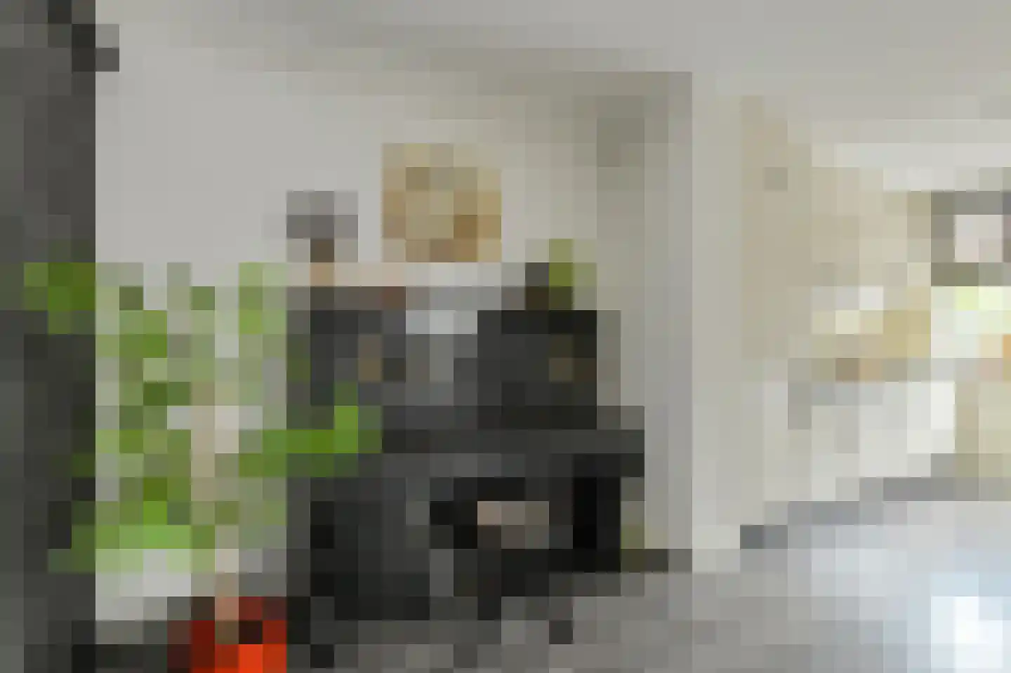 Vijfhoevenlaan 7 Raamsdonksveer thumbnail 23