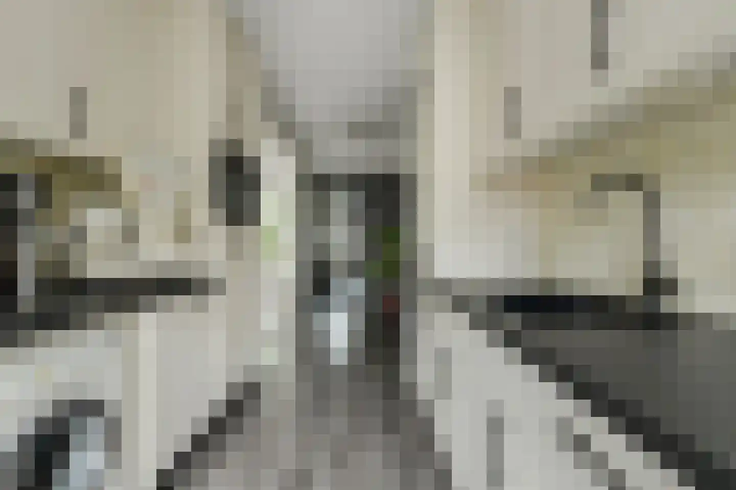 Vijfhoevenlaan 7 Raamsdonksveer thumbnail 25