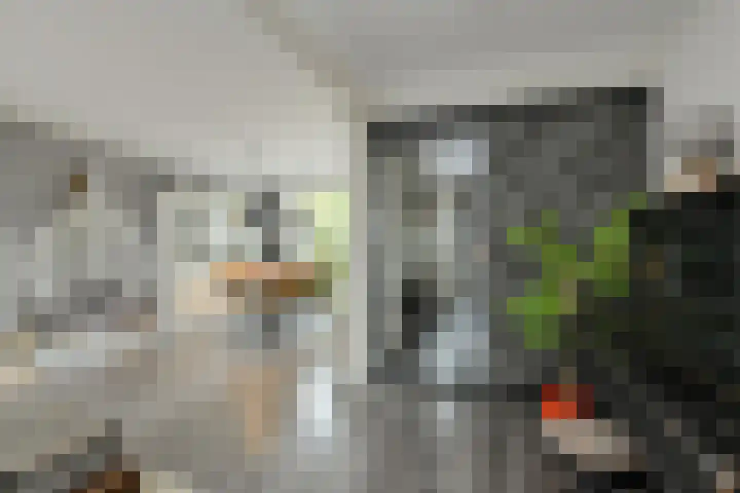 Vijfhoevenlaan 7 Raamsdonksveer thumbnail 26