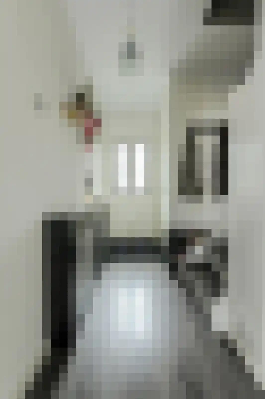 Vijfhoevenlaan 7 Raamsdonksveer thumbnail 28