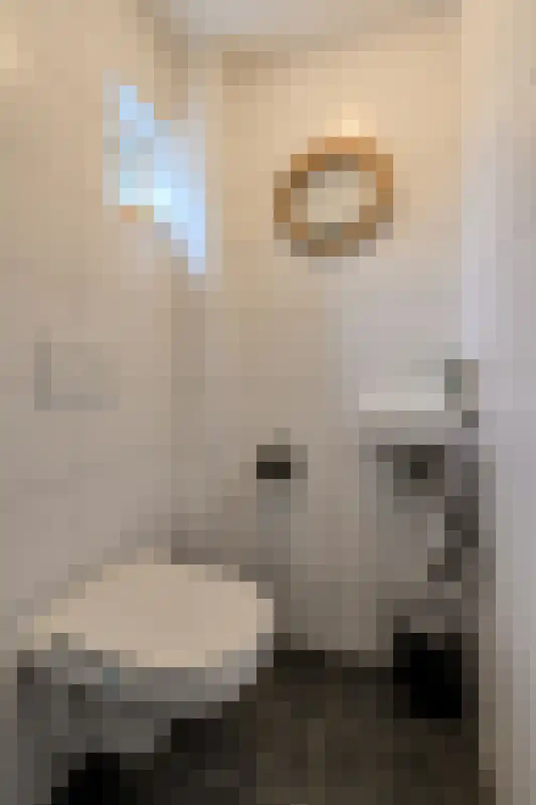Vijfhoevenlaan 7 Raamsdonksveer thumbnail 29