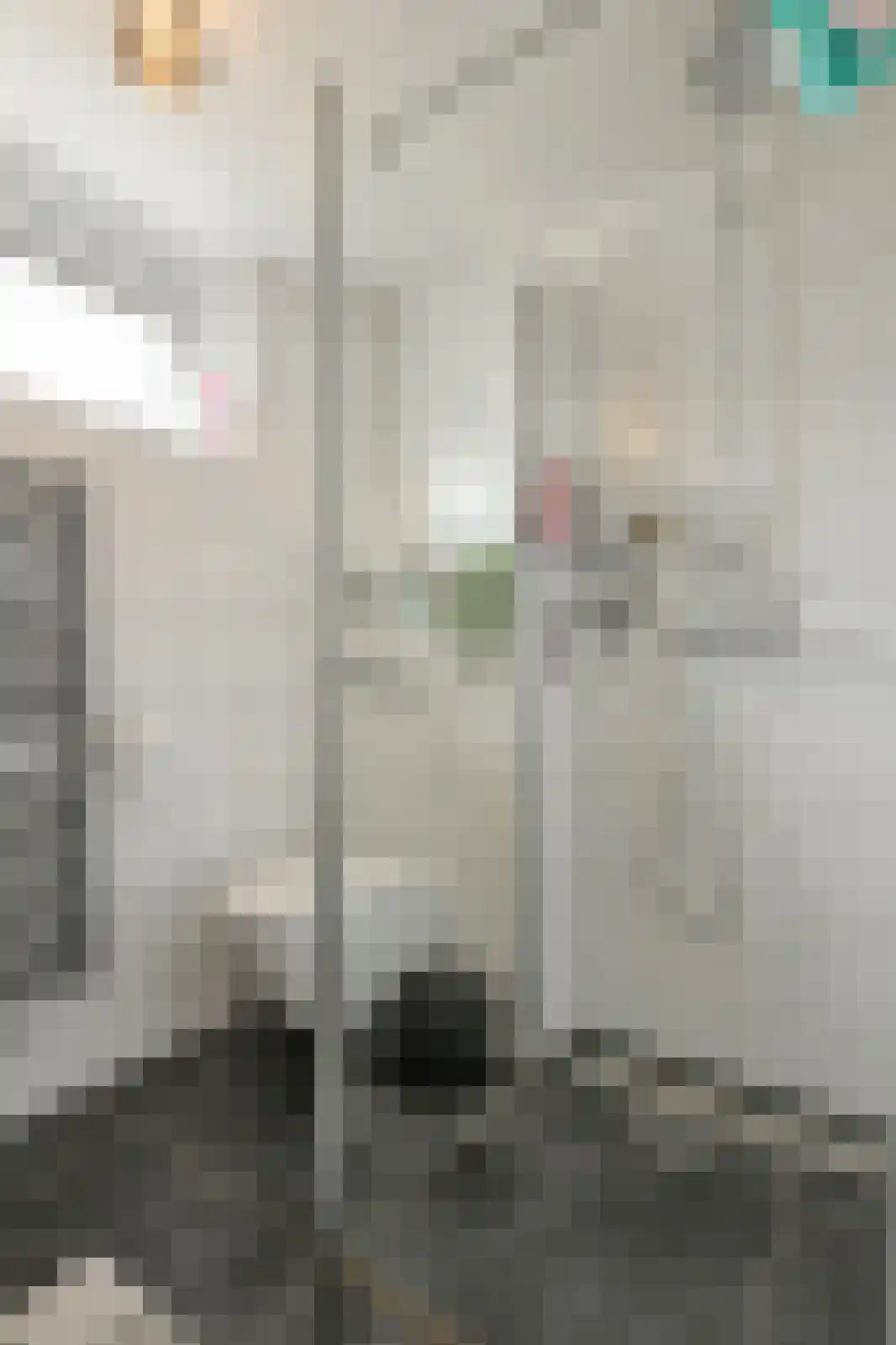 Vijfhoevenlaan 7 Raamsdonksveer thumbnail 34