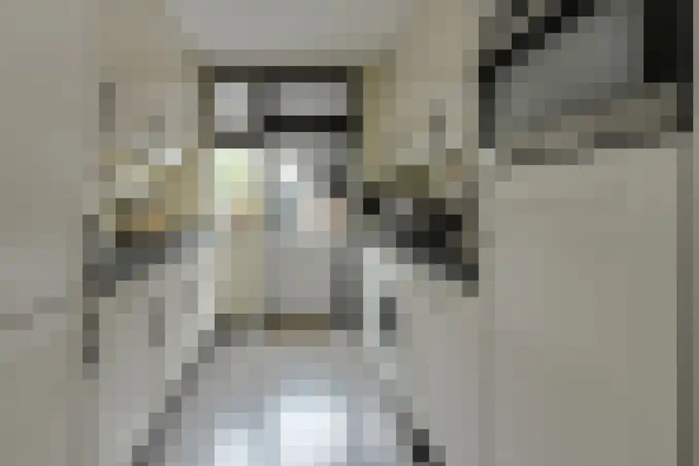 Vijfhoevenlaan 7 Raamsdonksveer thumbnail 4