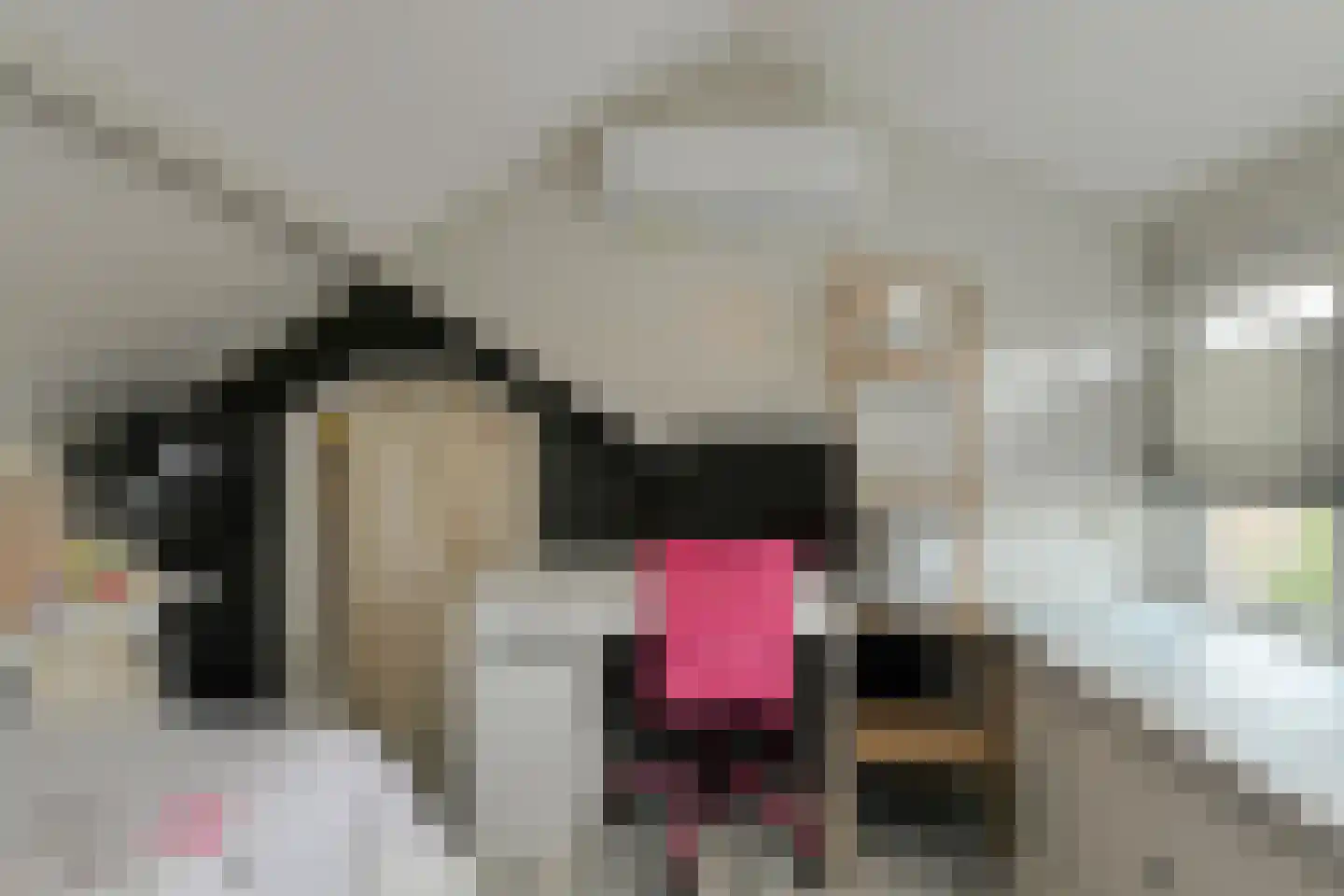 Vijfhoevenlaan 7 Raamsdonksveer thumbnail 41