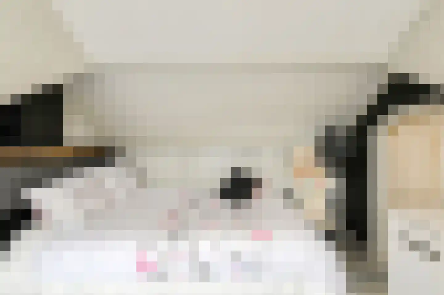 Vijfhoevenlaan 7 Raamsdonksveer thumbnail 42