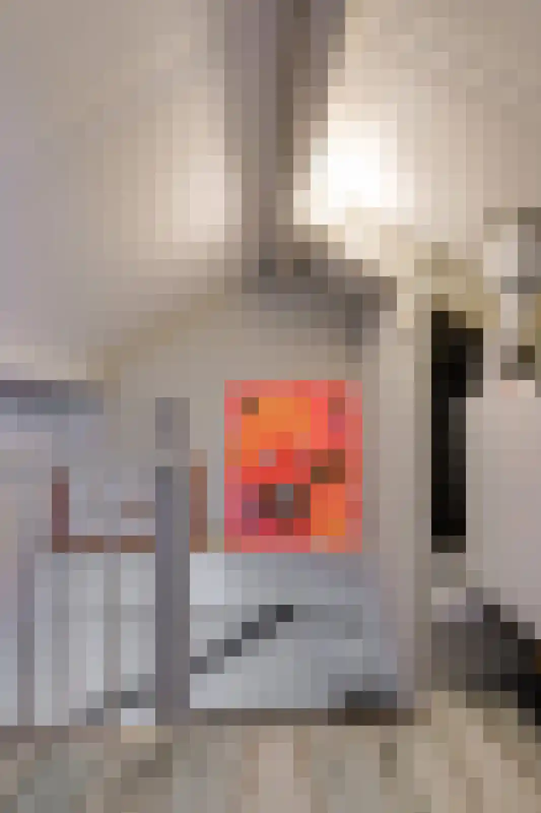 Vijfhoevenlaan 7 Raamsdonksveer thumbnail 43