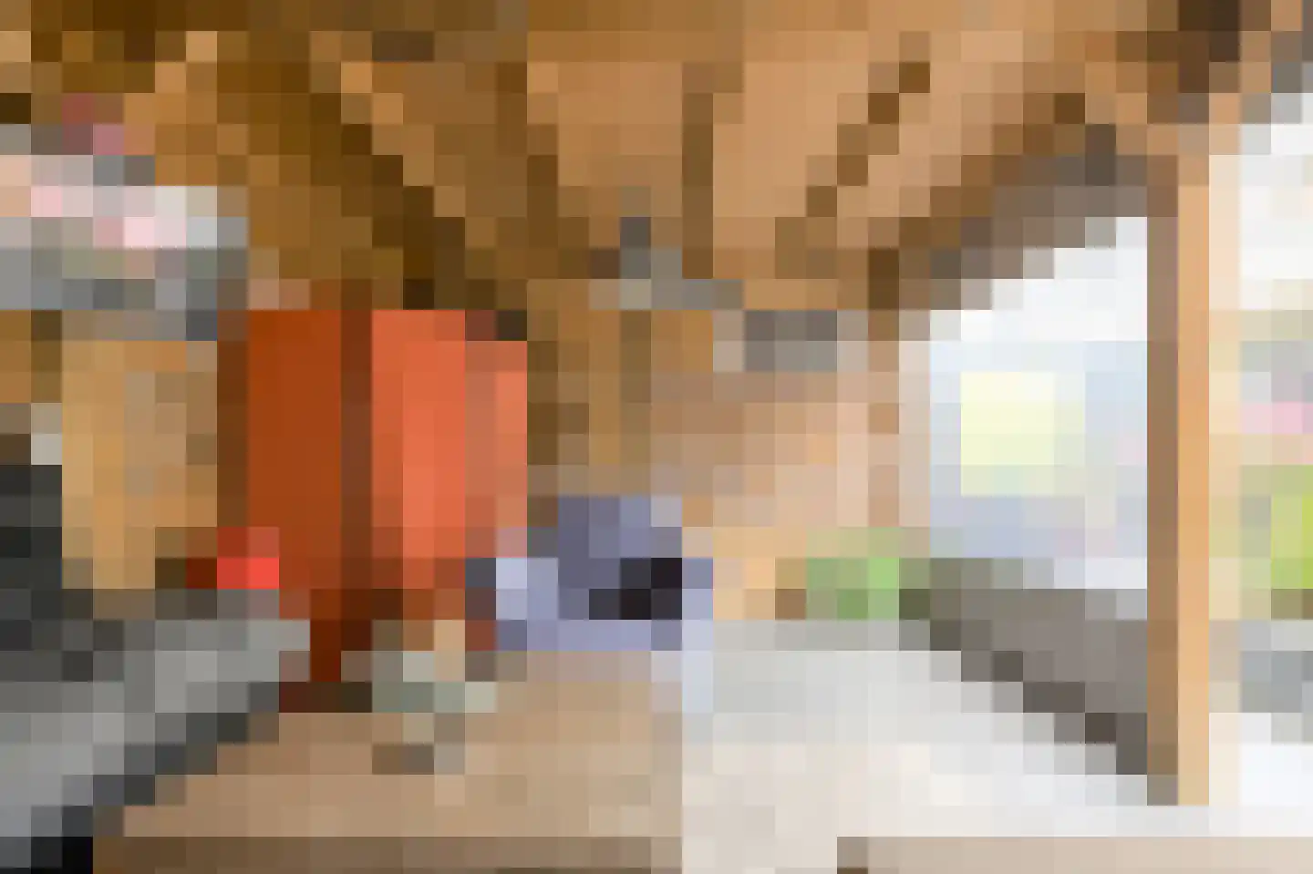 Vijfhoevenlaan 7 Raamsdonksveer thumbnail 47