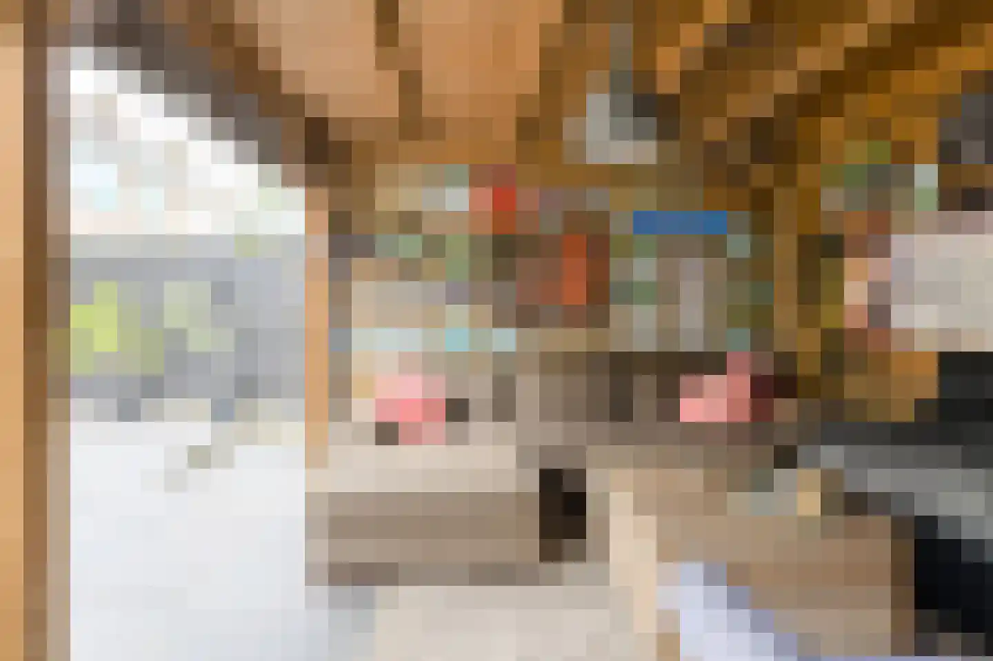 Vijfhoevenlaan 7 Raamsdonksveer thumbnail 48