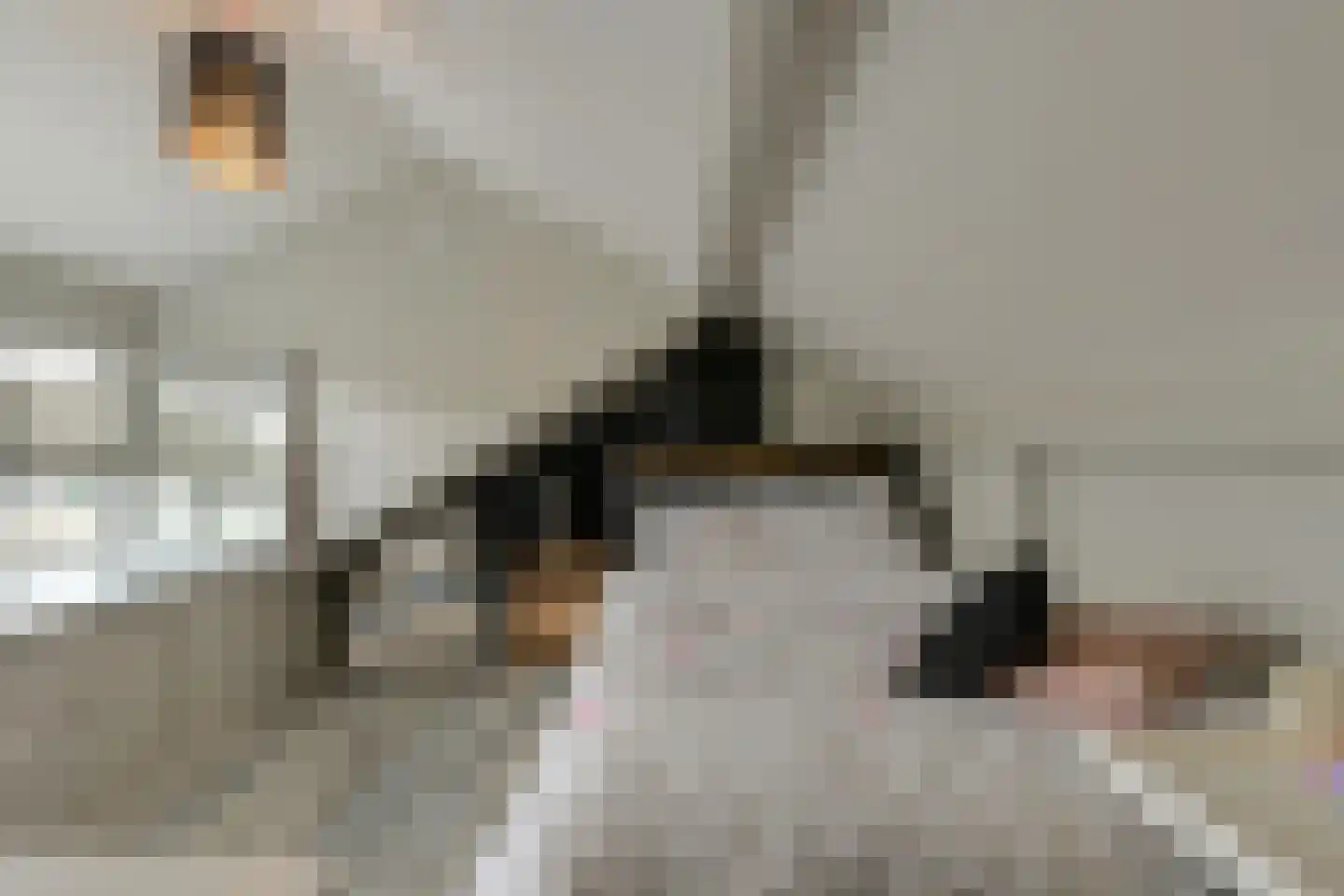 Vijfhoevenlaan 7 Raamsdonksveer thumbnail 6
