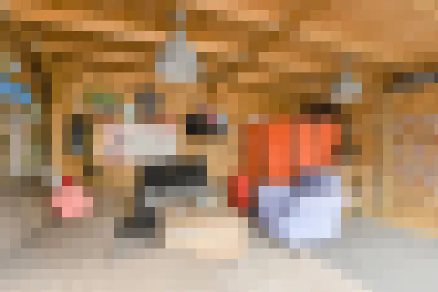 Vijfhoevenlaan 7 Raamsdonksveer thumbnail 8