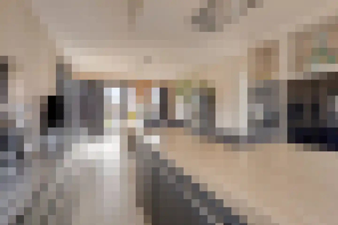 Vijfhuizenbaan 1 a Riel thumbnail 16