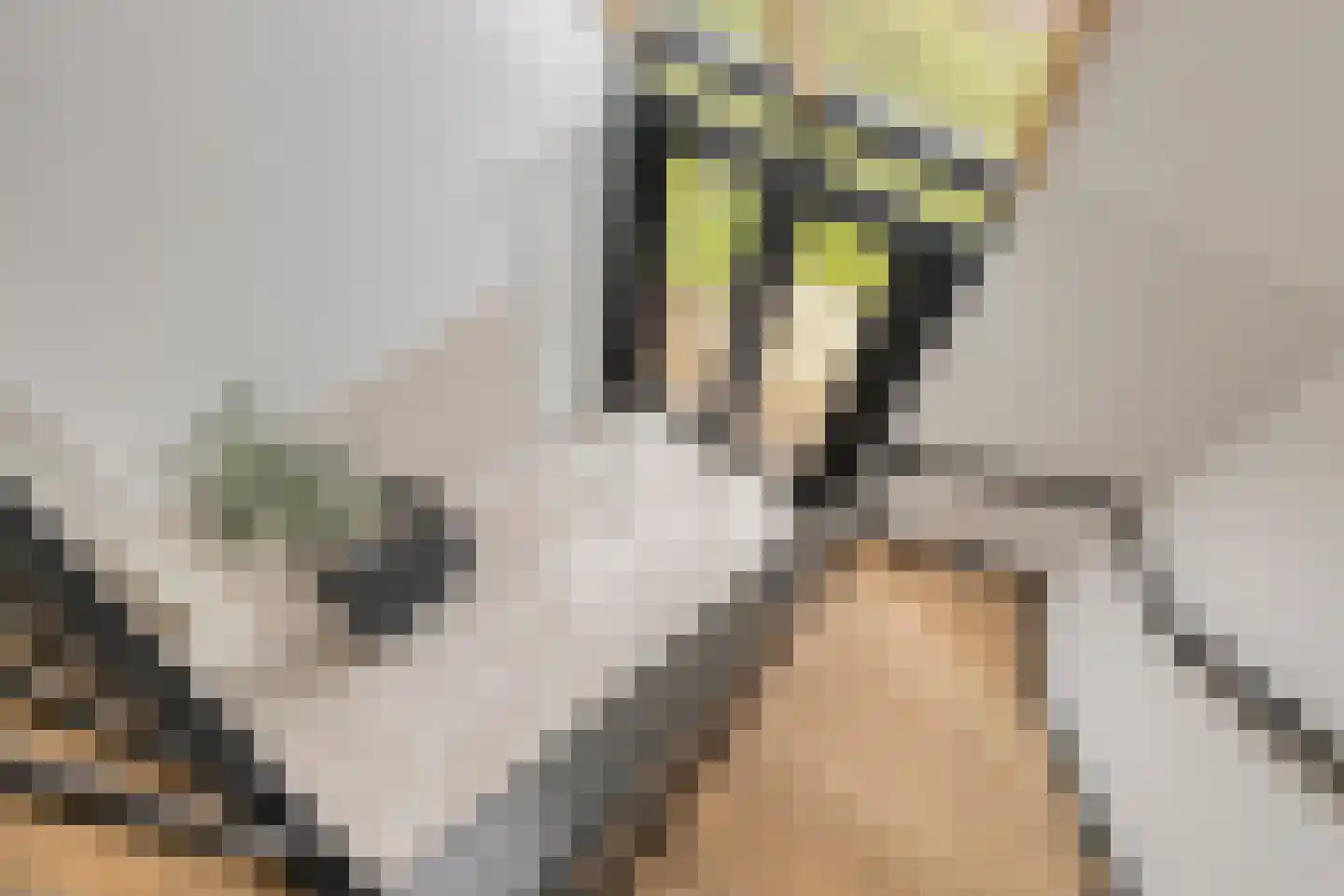 Vijfhuizenbaan 1 a Riel thumbnail 19