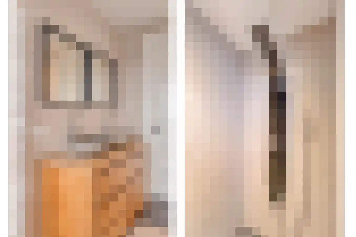 Vijfhuizenbaan 1 a Riel thumbnail 25