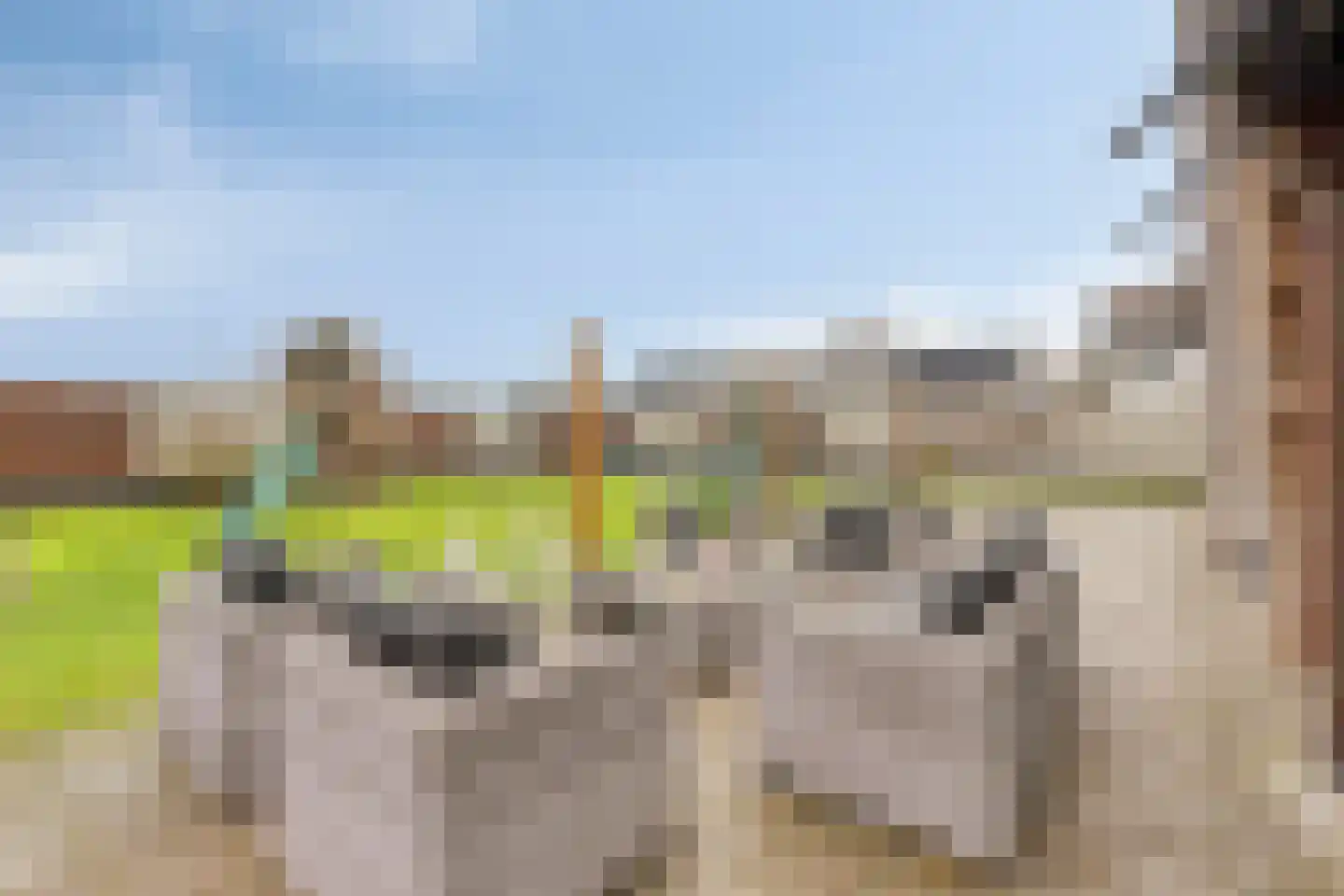 Vijfhuizenbaan 1 a Riel thumbnail 33