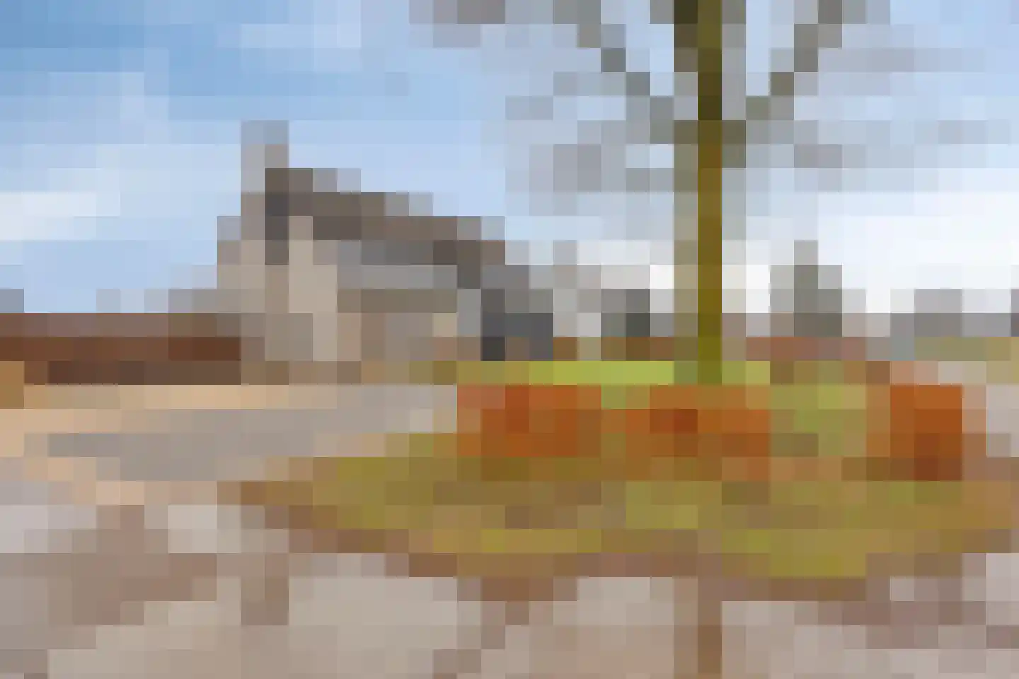 Vijfhuizenbaan 1 a Riel thumbnail 40