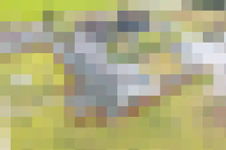 Vijfhuizenbaan 3 Riel thumbnail 7