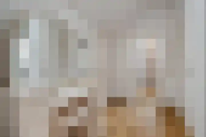 Vijfhuizenberg 64 Roosendaal thumbnail 32