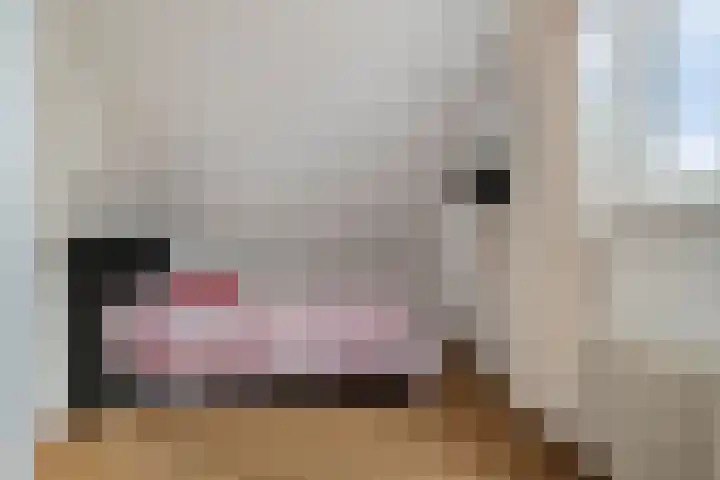 Vijfhuizenberg 64 Roosendaal thumbnail 33