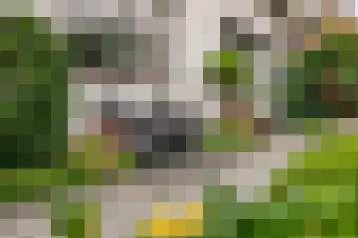 Vijfhuizenberg 64 Roosendaal thumbnail 37