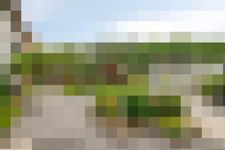 Vijfhuizenberg 64 Roosendaal thumbnail 38