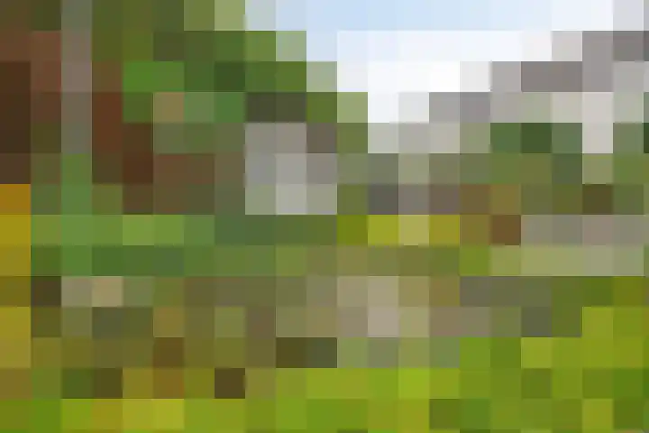 Vijfhuizenberg 64 Roosendaal thumbnail 39