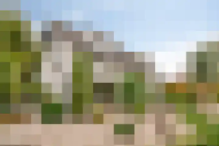 Vijfhuizenberg 64 Roosendaal thumbnail 4
