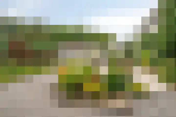 Vijfhuizenberg 64 Roosendaal thumbnail 40