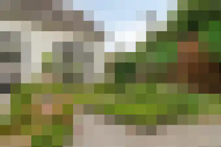 Vijfhuizenberg 64 Roosendaal thumbnail 41