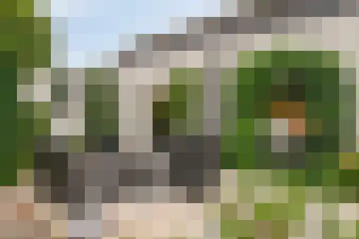 Vijfhuizenberg 64 Roosendaal thumbnail 42