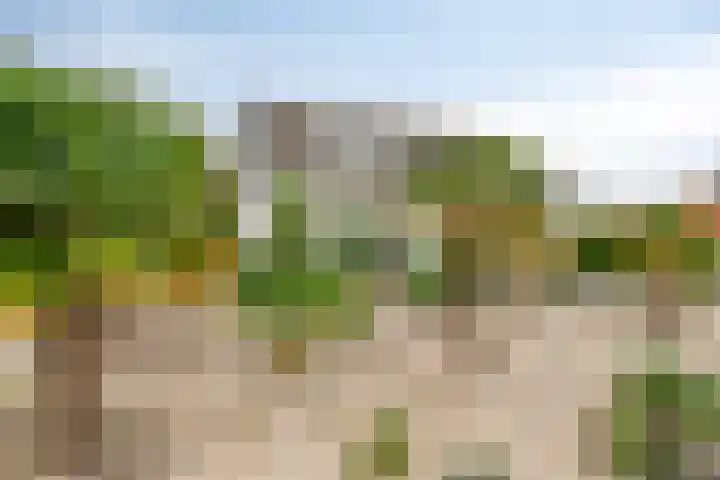 Vijfhuizenberg 64 Roosendaal thumbnail 51