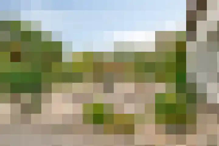 Vijfhuizenberg 64 Roosendaal thumbnail 52