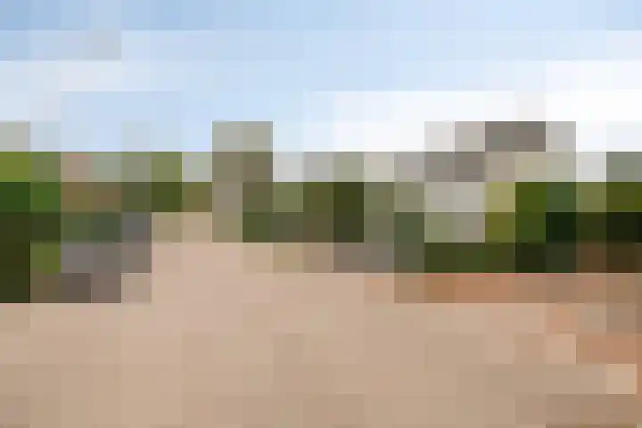 Vijfhuizenberg 64 Roosendaal thumbnail 53