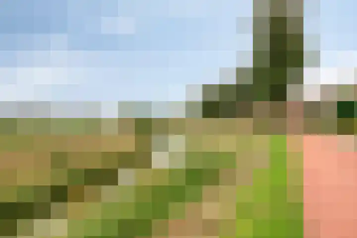 Vijfhuizenberg 64 Roosendaal thumbnail 55