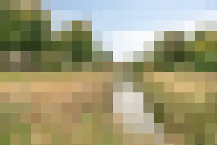 Vijfhuizenberg 64 Roosendaal thumbnail 56