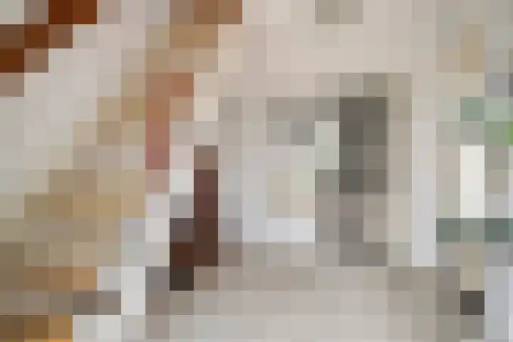 Vijfhuizenberg 64 Roosendaal thumbnail 7