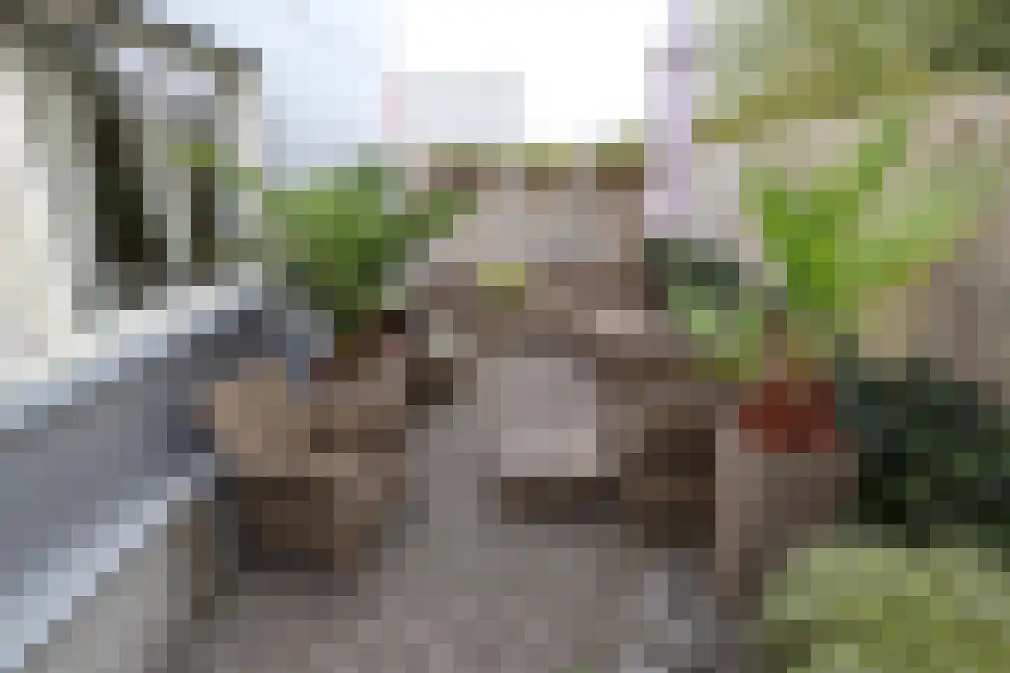 Vijfhuizenberg 80 a Roosendaal thumbnail 43