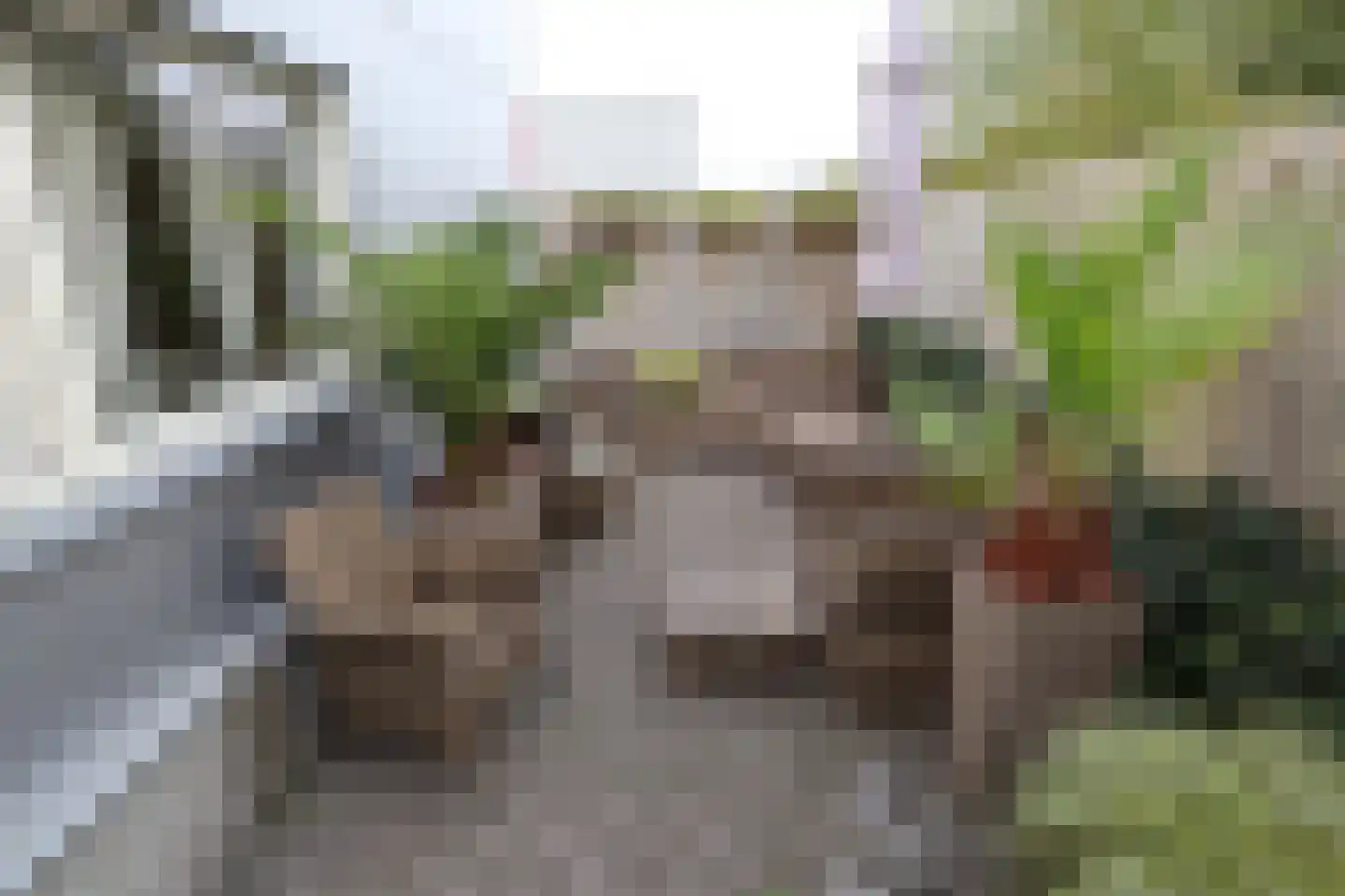 Vijfhuizenberg 80 a Roosendaal thumbnail 43