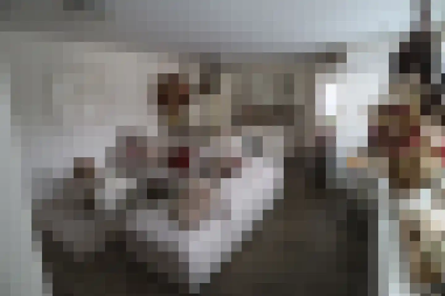 Vijfhuizenberg 80 a Roosendaal thumbnail 44