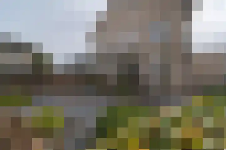 Vijfhuizenberg 80 k Roosendaal thumbnail 60