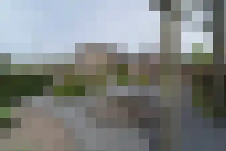 Vijfhuizenberg 80 k Roosendaal thumbnail 66