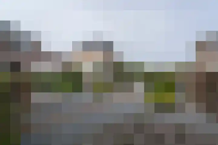 Vijfhuizenberg 80 k Roosendaal thumbnail 68