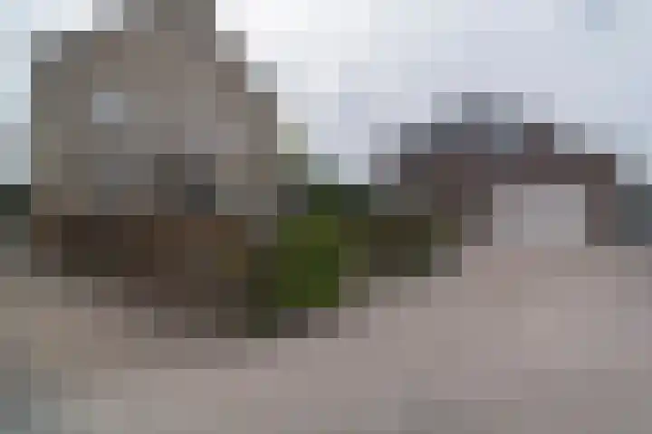 Vijfhuizenberg 80 k Roosendaal thumbnail 69