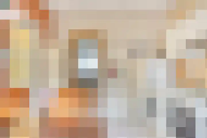 Vijfhuizenweg 4 Etten-Leur thumbnail 14