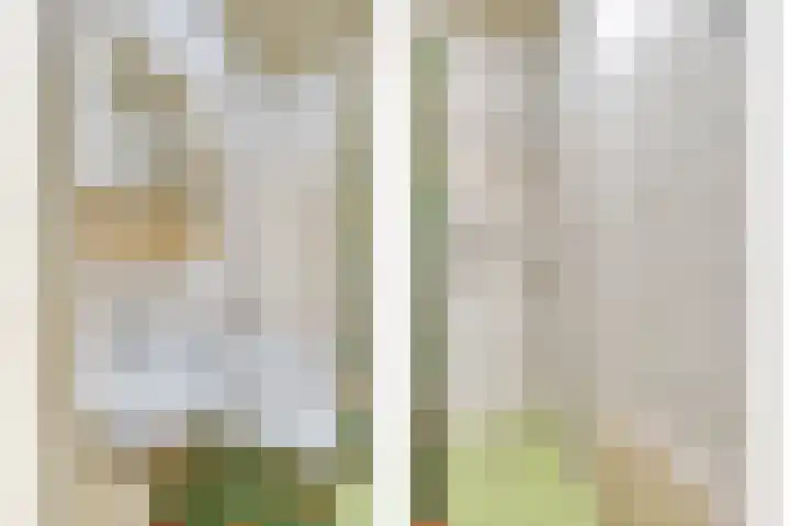 Vijfhuizenweg 4 Etten-Leur thumbnail 17