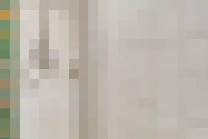 Vijfhuizenweg 4 Etten-Leur thumbnail 19